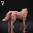 Bernese-Mountain-Dog-Pose-02-Dog-3D-Print-4s.jpeg Bernese Mountain Dog 3D Print Model Pose 02