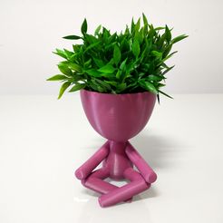 IMG_20220920_122117709_HDR.jpg Fichier STL Vase/Planter Robert Plant・Idée pour impression 3D à télécharger, 3drs