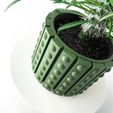 misprint-8573.jpg The Belio Planter Pot with Drainage | Tray & Stand Included | Modern and Unique Home Decor for Plants and Succulents  | STL File