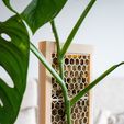 DSC01861-2.jpeg CLIMBIT HoneyComb — модульная система для выращивания мха на опорах с автополиванием (без опор, с возможностью штабелирования)