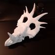 20200929_231821.jpg Styracosaurus dinosaur skull