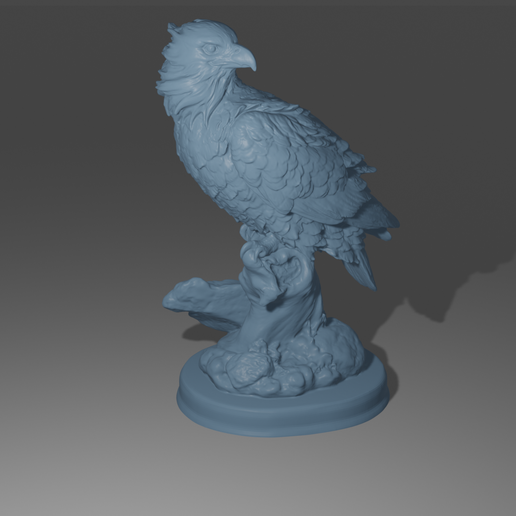 Eagle 3D model
