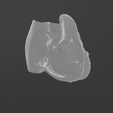 imagen_2023-07-29_173712760.png Magnetic anatomical human heart