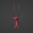 1.png 3D Model of Male Reproductive System