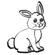 Rabbit2.jpg Rabbit