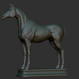 19.png Arabian Horse
