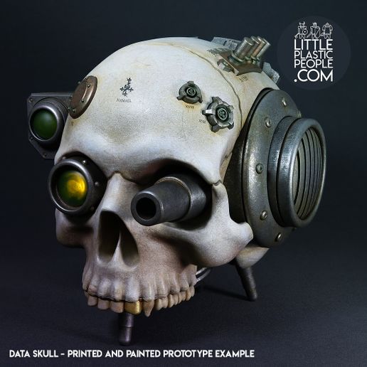 Grim Dark Data Skull