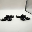 cdfabac0-21e3-48cf-8ae1-68aa4836aa44.jpg Mignonne petite chauve-souris Flexi !