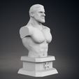 08.jpg Triple H Bust - Classic and Current Versions