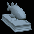 Bass-statue-25.png fish Largemouth Bass / Micropterus salmoides statue detailed texture for 3d printing