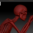 2.png Skeleton Cable Buddy – Articulated 3D Printed Cable Protector