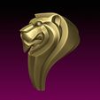 2.jpg Lion Head stylized