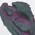 12.jpg NEWBORN BABY SLEEPING ON THE WINGS 3D print model