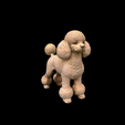 dog-poodle-sculpture-model.png Hund Pudel Skulptur Modell
