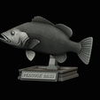peacock-bass-trophy-1-1-25.png Peacock bass (Cichla ocellaris) fish in motion trophy statue for 3d printing