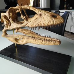 IMG_20190608_143519.jpg Fichier OBJ Crâne de Deinonychus・Design pour impression 3D à télécharger