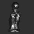 ZBrush-Document3.jpg Giger Female Bust