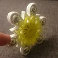 DSC_0002.JPG Flower Hand Spinner 2