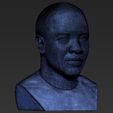 23.jpg Dr Dre bust ready for full color 3D printing