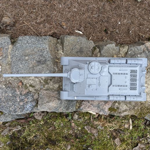 PXL_20220327_122507797.MP.jpg SU 100