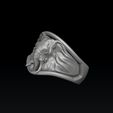 ferfeergterdgvdgd.jpg Modelo de impressão 3D do Elephant Ring N2