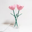 Shapeofmike-TULIP-Valentines-Two-Pinks_vase.jpg TULIP - Uma flor mecanizada
