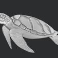 4.jpg STL models for 3D printing and CNC Set of Sea Life 8 stl file