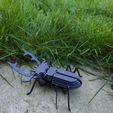 IMG20231009173817.jpg Stag Beetle Buildable Animal Figure