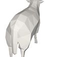 10005.jpg sheep animal