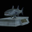 Barracuda-mouth-statue-6.png fish great barracuda / Sphyraena barracuda open mouth statue detailed texture for 3d printing