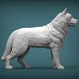 Husky1.jpg Husky 3D printed model