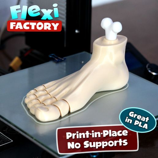 Foot_1.jpg STL-Datei Flexi Print-in-Place Fuß herunterladen • Vorlage für den 3D-Druck, FlexiFactory