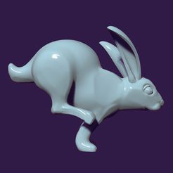 01.jpg STL file running rabbit・3D printing idea to download