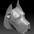 15.jpg Great Dane head for 3D printing