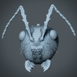 ant-god-mask3.png Ant God Mask STL
