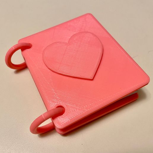 The (Little) Big Book of Boo-Boos 3D model