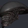 12.jpg Alien Xenomorph Mask - Halloween Cosplay