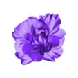 Garden_Rose_v2.1.stl Hi-Res Garden Rose