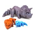 DSC01564-copia.jpg Ar-Triceratops