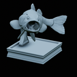 Bass-trophy-32.png Largemouth Bass / Micropterus salmoides fish in motion trophy statue detailed texture for 3d printing