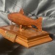 IMG_7492.jpg fish sculpture of a trout with storage space for 3d printing