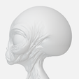 Alien-C_7.png 👽 Classic Grey Alien Bust C - Detailed  Model 🛸