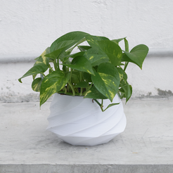 ASPA.png ASPA - Vase mode planter