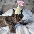 ANIMAL-PARTY-HAT-PLASTIC-3D-PRINT-by-qbed-5.jpg MEOW A WISH CAT PARTY HAT