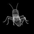 uv-2.jpg DOWNLOAD Grasshopper 3D MODEL - ANIMATED - INSECT Raptor Linheraptor MICRO BEE FLYING - POKÉMON - DRAGON - Grasshopper - OBJ - FBX - 3D PRINTING - 3D PROJECT - GAME READY-3DSMAX-C4D-MAYA-BLENDER-UNITY-UNREAL - DINOSAUR -
