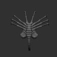 6.jpg alien facehugger