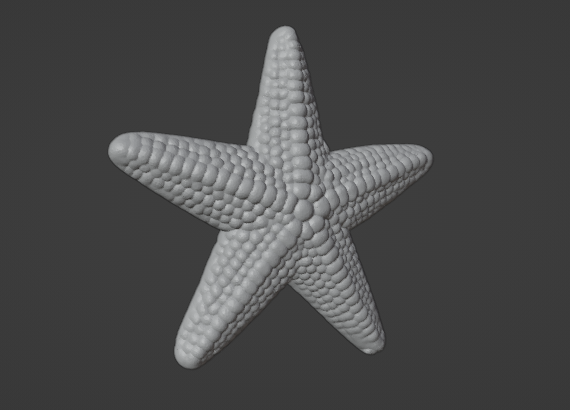 Étoile De Mer Imprimée En 3D – Jouet Sensoriel Flexible Multi-Articulations, Anti-Stress, Décoration De Bureau, Cadeau Original
