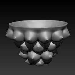 2021-02-20_21-55-21.jpg Download STL file female breast vase (bust) • 3D printing model, Crazy_Craft_Sochi