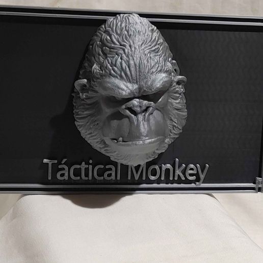 20240910_194406.jpg Mono táctico Placa