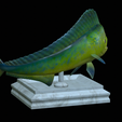 mahi-mahi-model-1-9.png fish mahi mahi / common dolphin trophy statue detailed texture for 3d printing